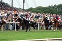 Ascot Renntag09   027